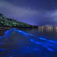 ساحل نقره‌ای